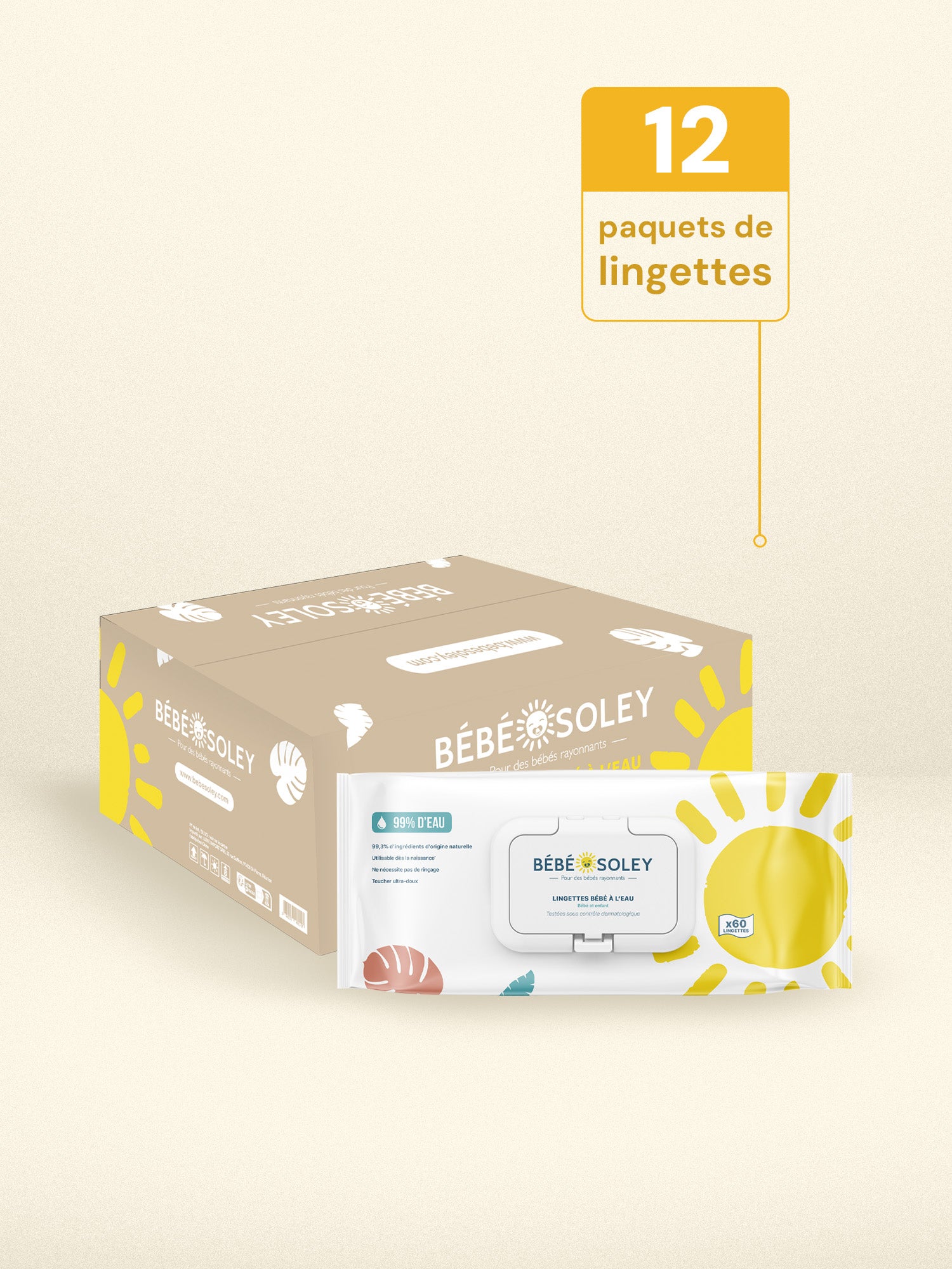 Carton de 12 paquets de lingettes à l'eau